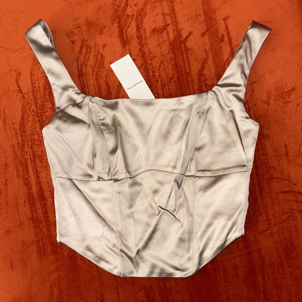 Abercrombie & Fitch Champagne Satin Crop Top (new but small pull on front)